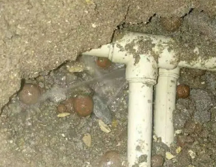 南皮卫生间测漏