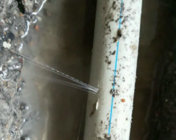 南皮卫生间测漏水多少钱
